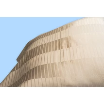 Mikroszálas damaszt TÉGLA bézs 300 cm