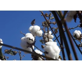 egyéb textiltermékeink